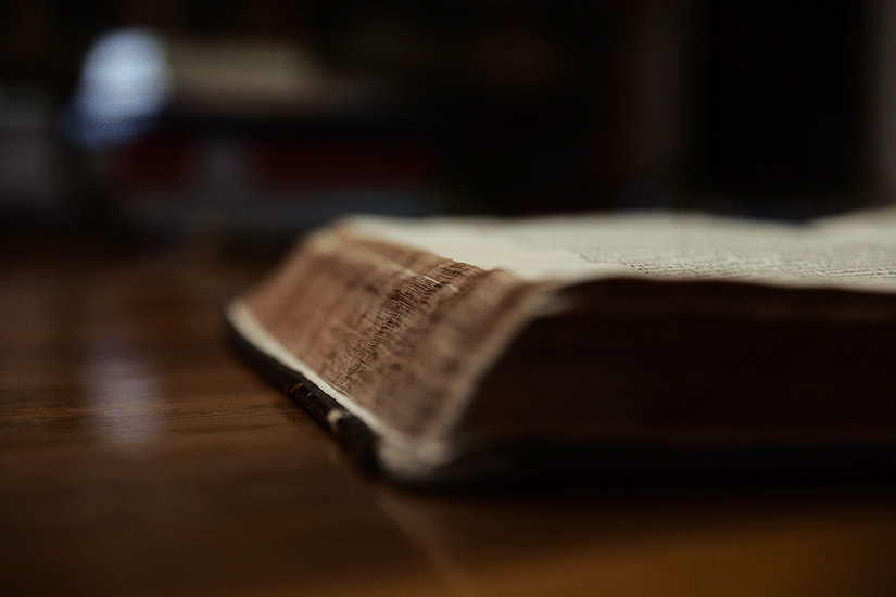 Áreas de investigación