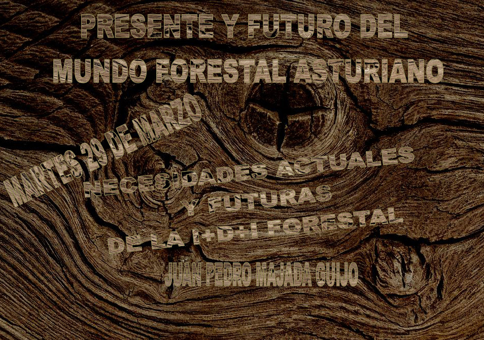 Imagen - Necesidades actuales y futuras de la I+D+I forestal